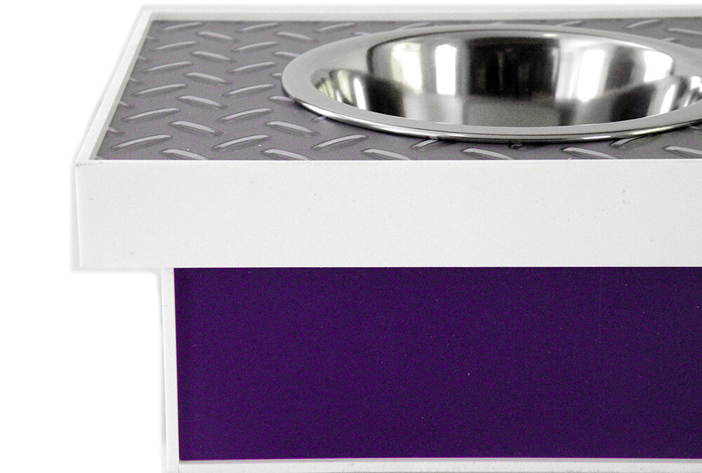 purple-truck-pet-dish-4